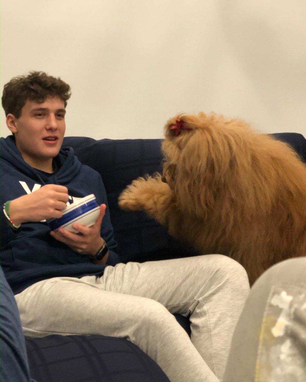 Tommy on the couch with a dog climbing toward him